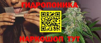 jwh Новодвинск