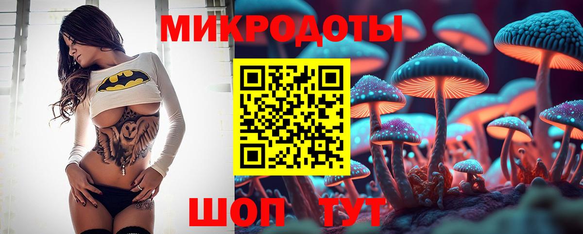 Сертолово  Псилоцибиновые грибы ЛСД  Вход с VPN 